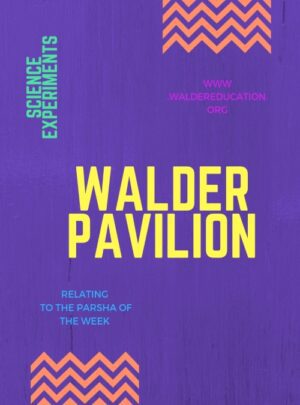 Walder Pavilion Science Experiments