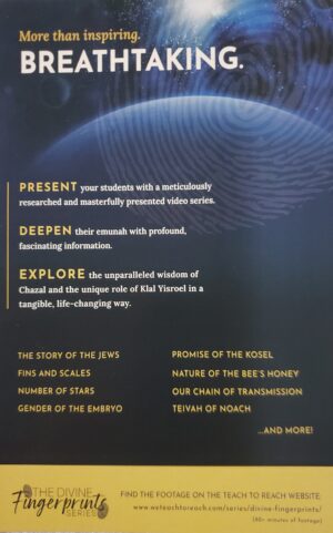 The Divine Fingerprints Series