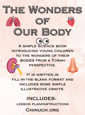 The Wonders of Our Body