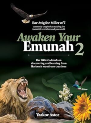 Awaken Your Emunah 2